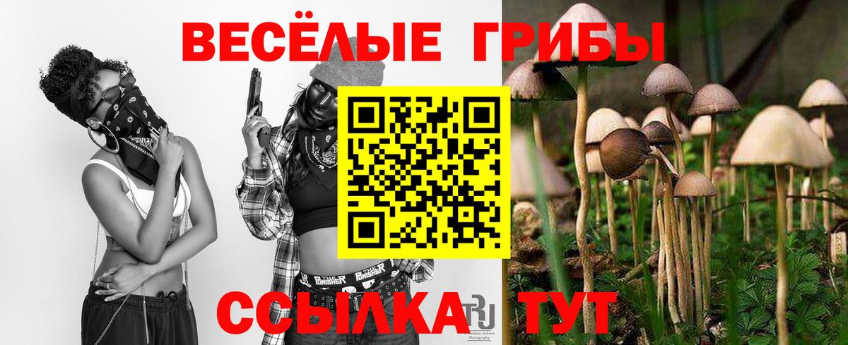 Елабуга  Галлюциногенные грибы прущие грибы  Вход с VPN  Псилоцибиновые грибы Cubensis 