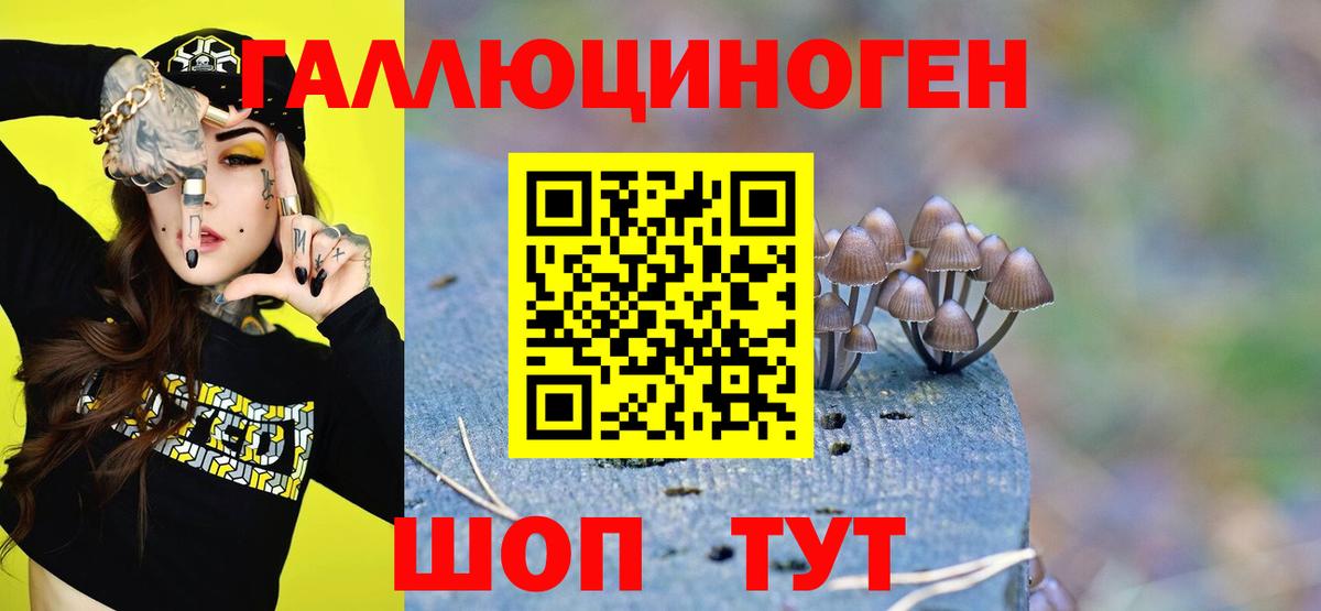 Псилоцибиновые грибы мицелий Елабуга